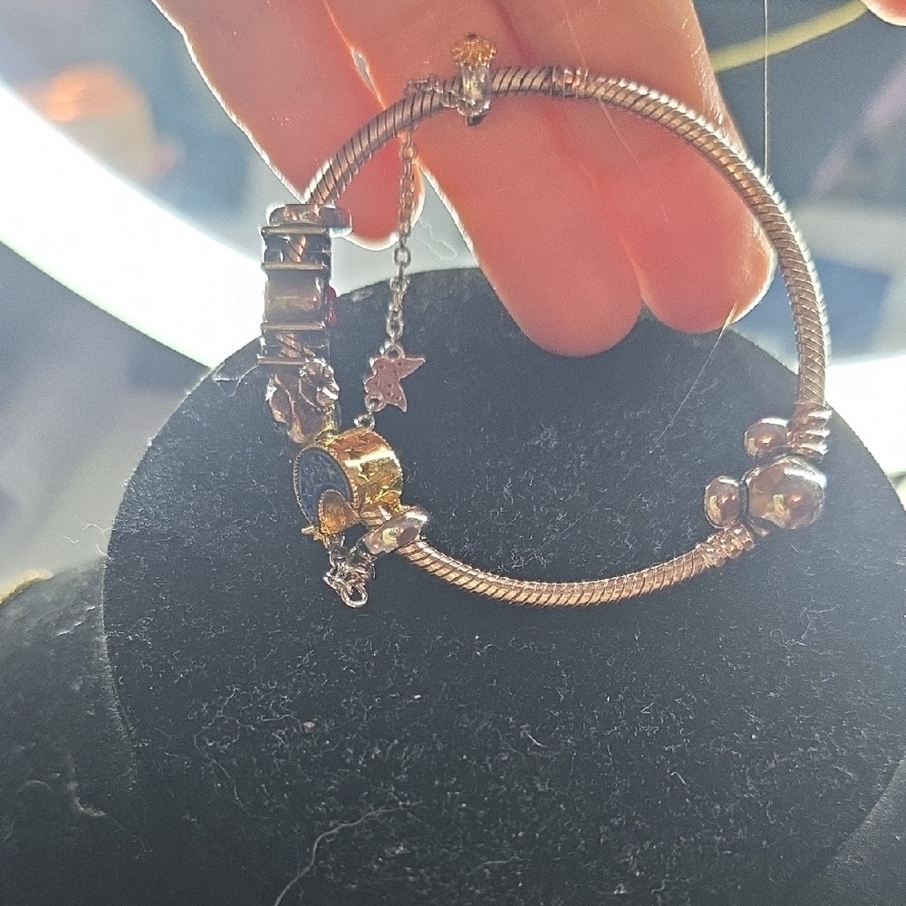 Elegant Silver and Gold Charm Bracelet